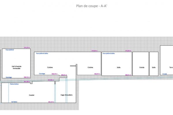 Coupe longitudinale