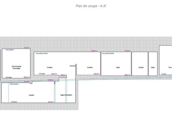 Coupe longitudinale